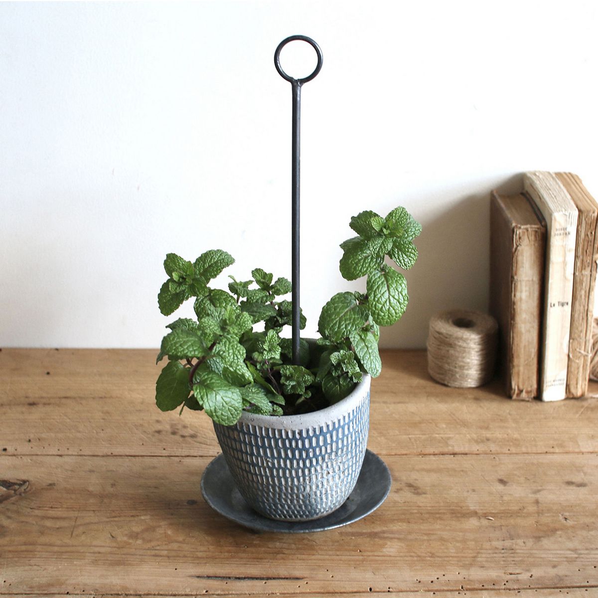 SOW/ブリキハンギングソーサー Lサイズ/BAGT4100L