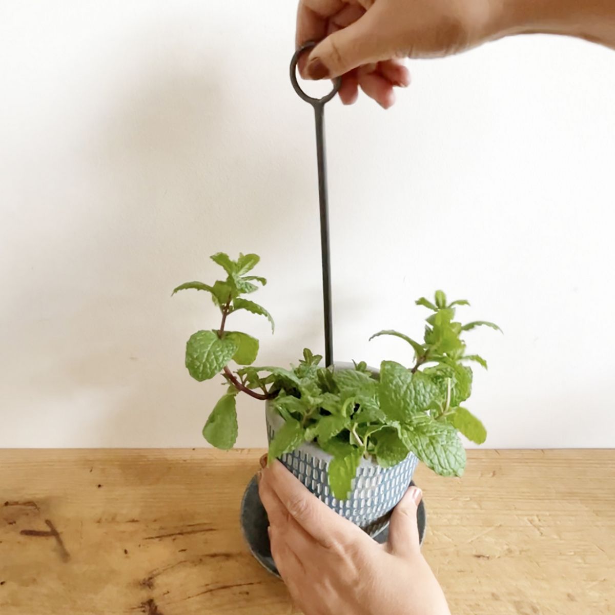 SOW/ブリキハンギングソーサー Lサイズ/BAGT4100L