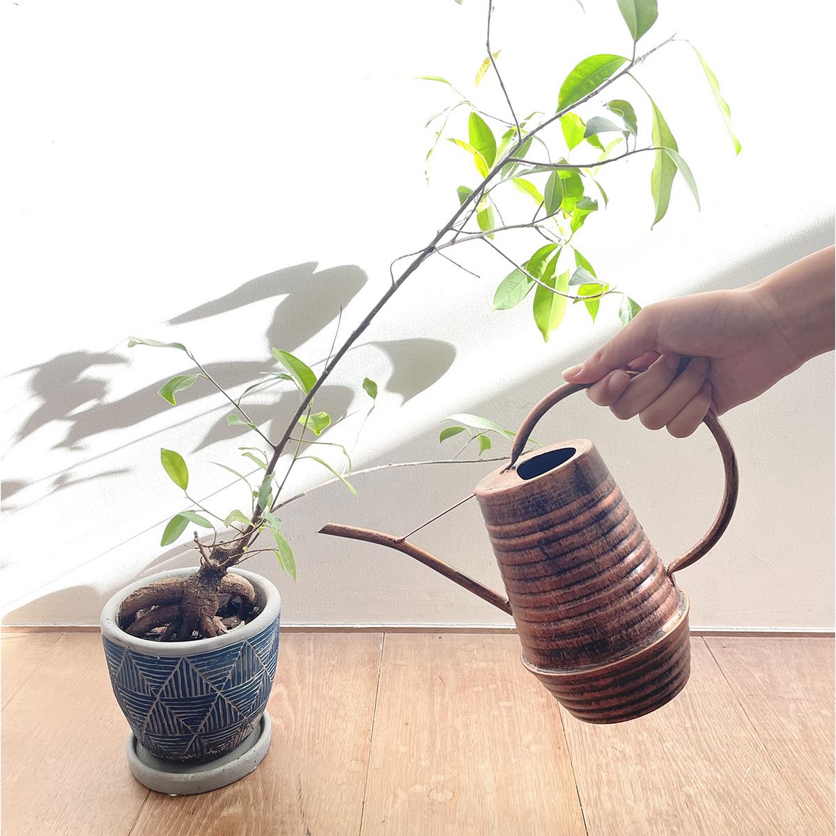 SOW/クラシカルブリキ細口ジョーロ 0.9L/JMGY4210SW