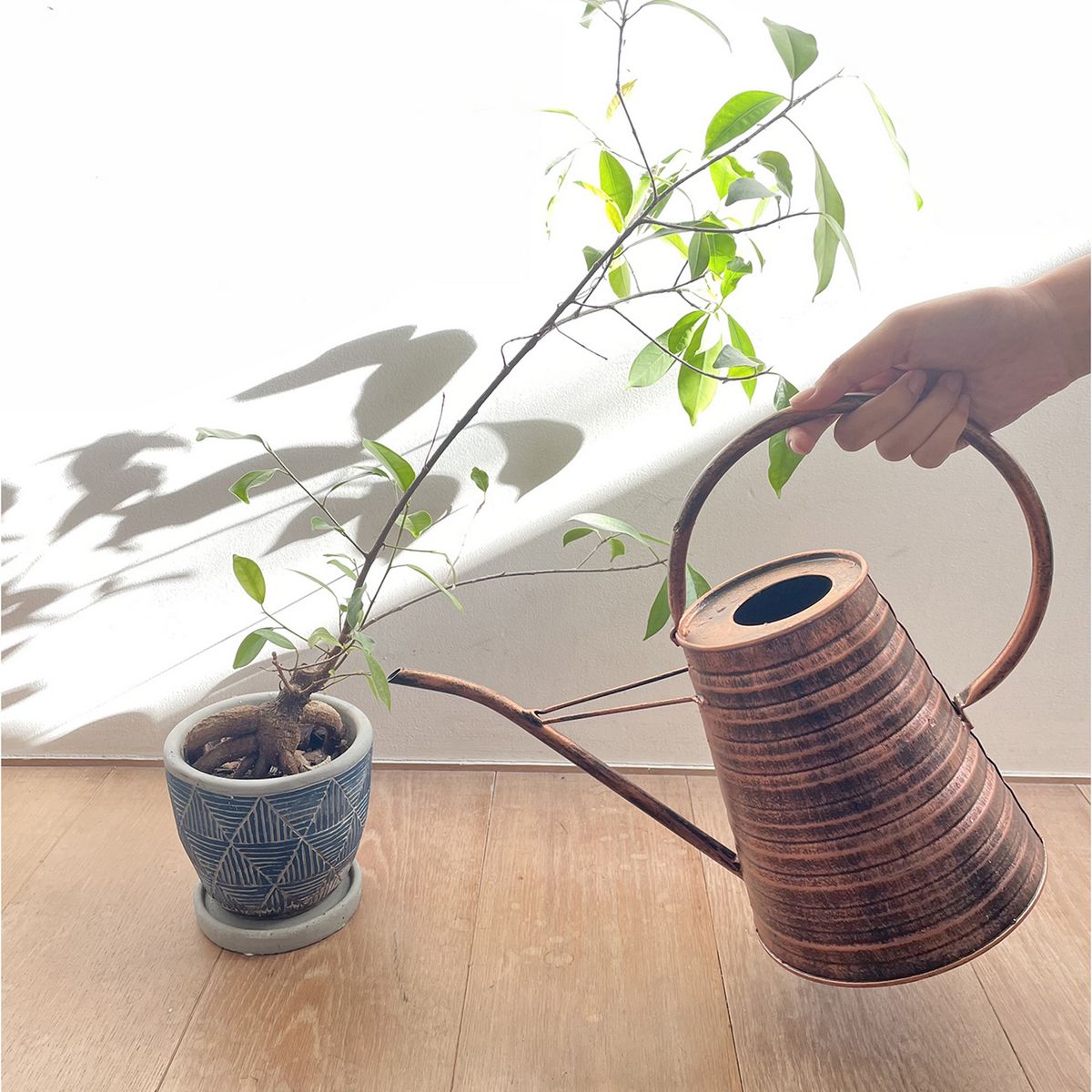 SOW/クラシカルブリキ細口ジョーロ 2.2L/JMGY4220