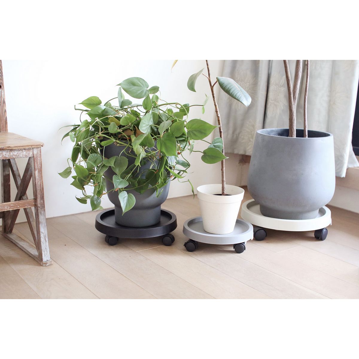 SOW/プラントムーブ 34cm グレー/TPL002