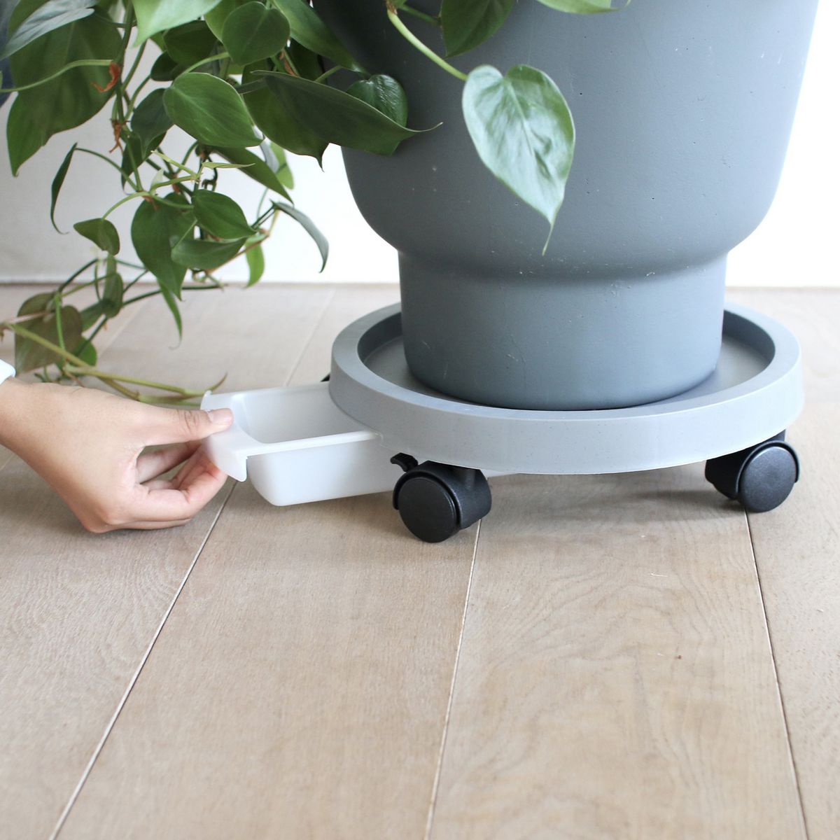 SOW/プラントムーブ 51cm グレー/TPL005