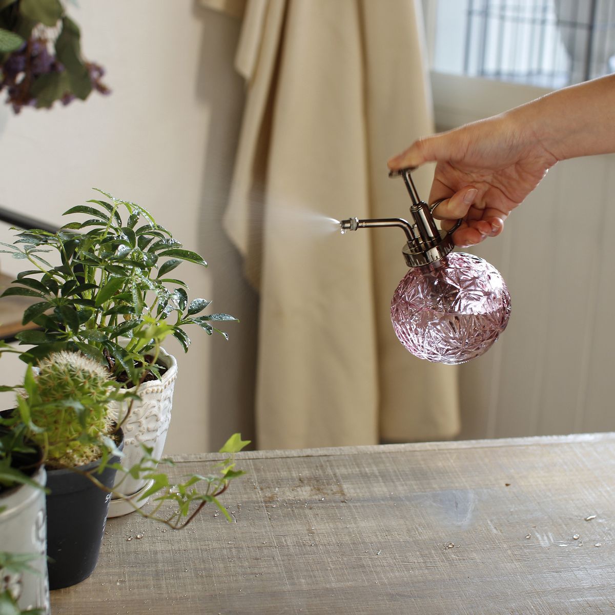 SOW/ガラススプレーボトル パープル 250ml/SXGY1010PUSW