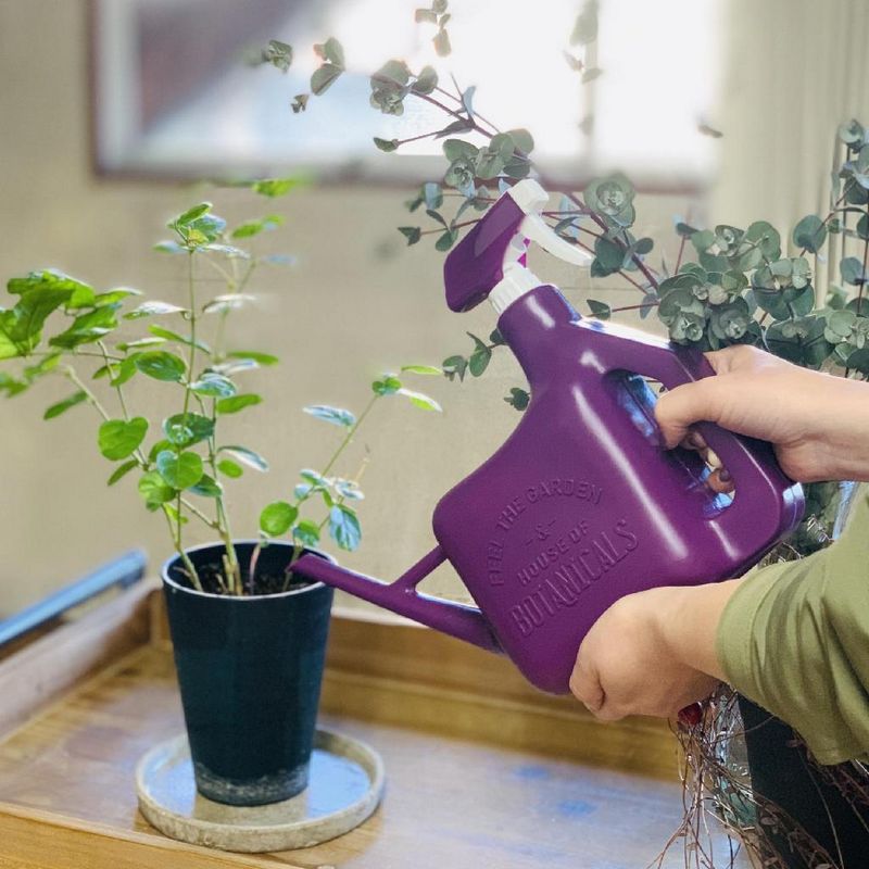 SOW/スプレースプリンクラー パープル 1.6L/YYGN1000PUSW