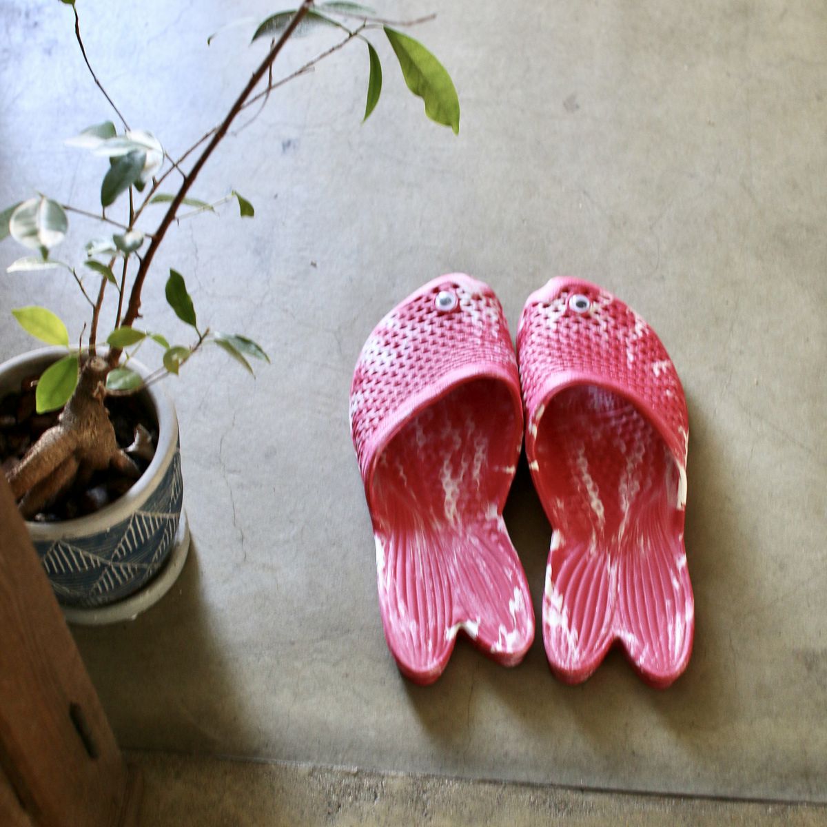 SOW/金魚サンダル マーブルレッド フリーサイズ(約23〜25cm)/ZFLY2600RD