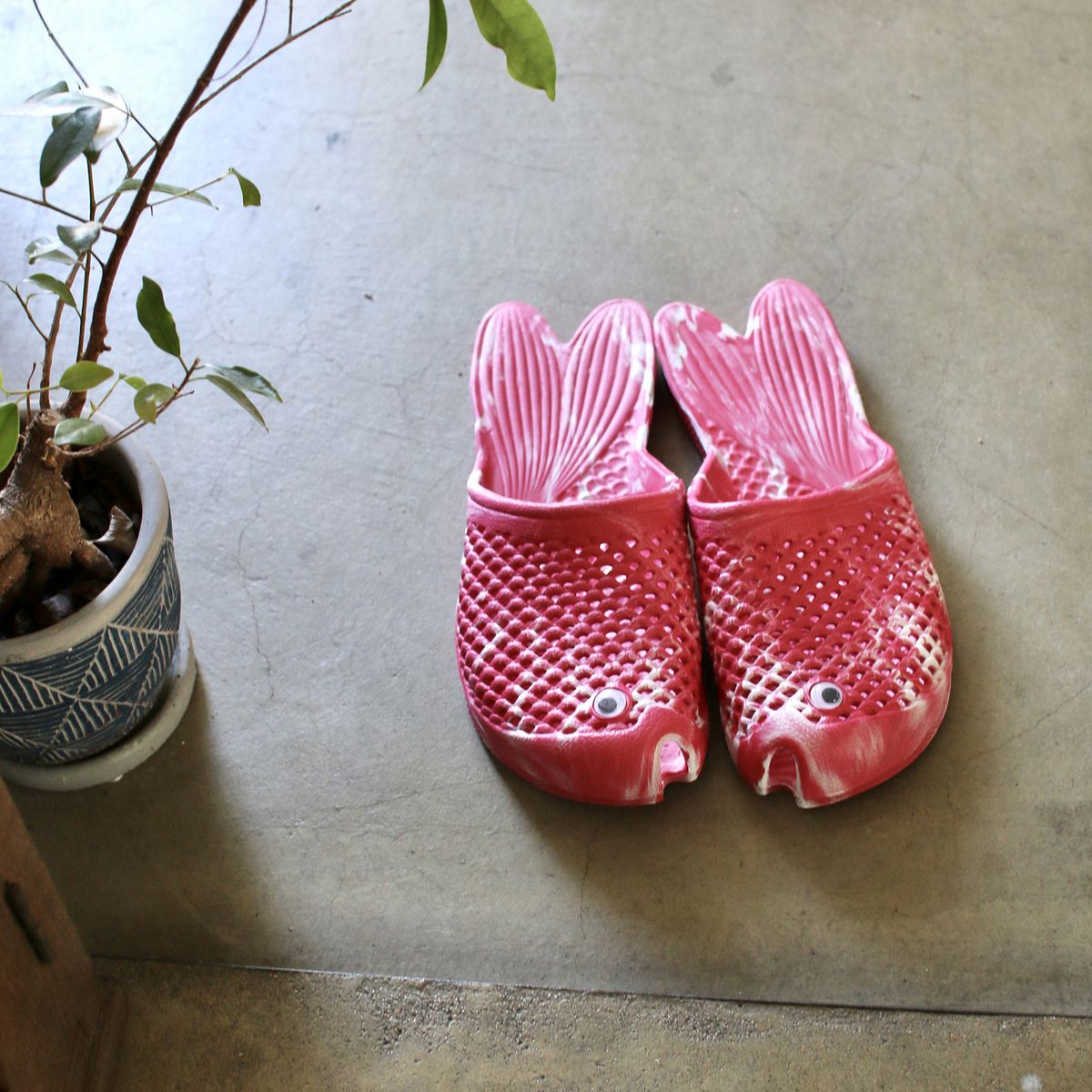 SOW/金魚サンダル マーブルレッド フリーサイズ(約23〜25cm)/ZFLY2600RD