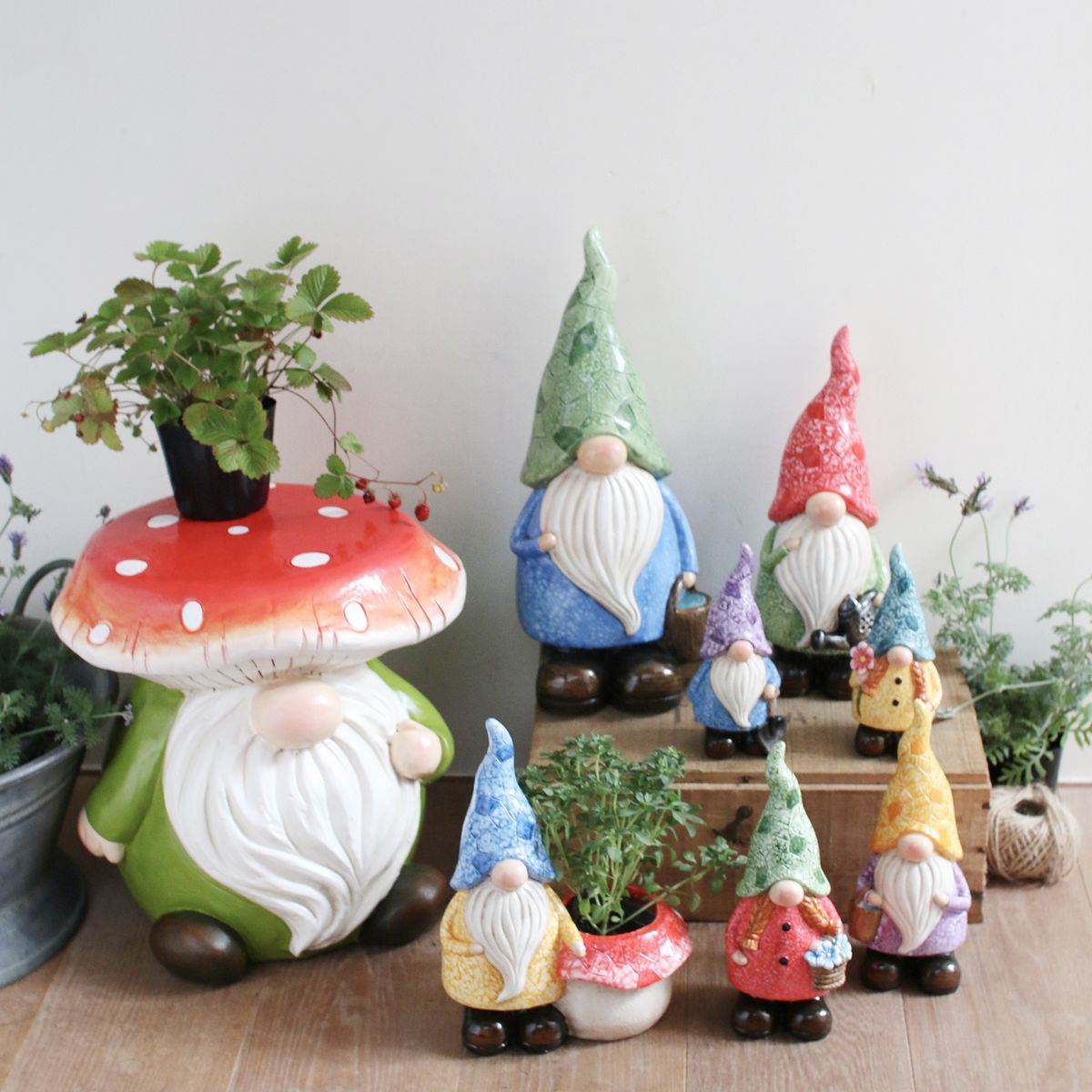 SOW/ガーデンノーム GIRL Mサイズ/BRGD3001MB