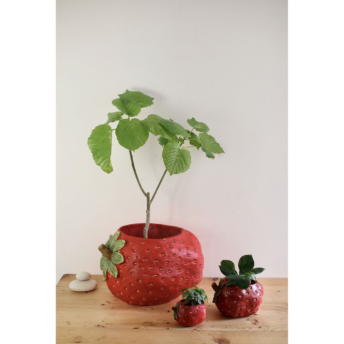 SOW/ストロベリーポット Lサイズ/BRGD1001L