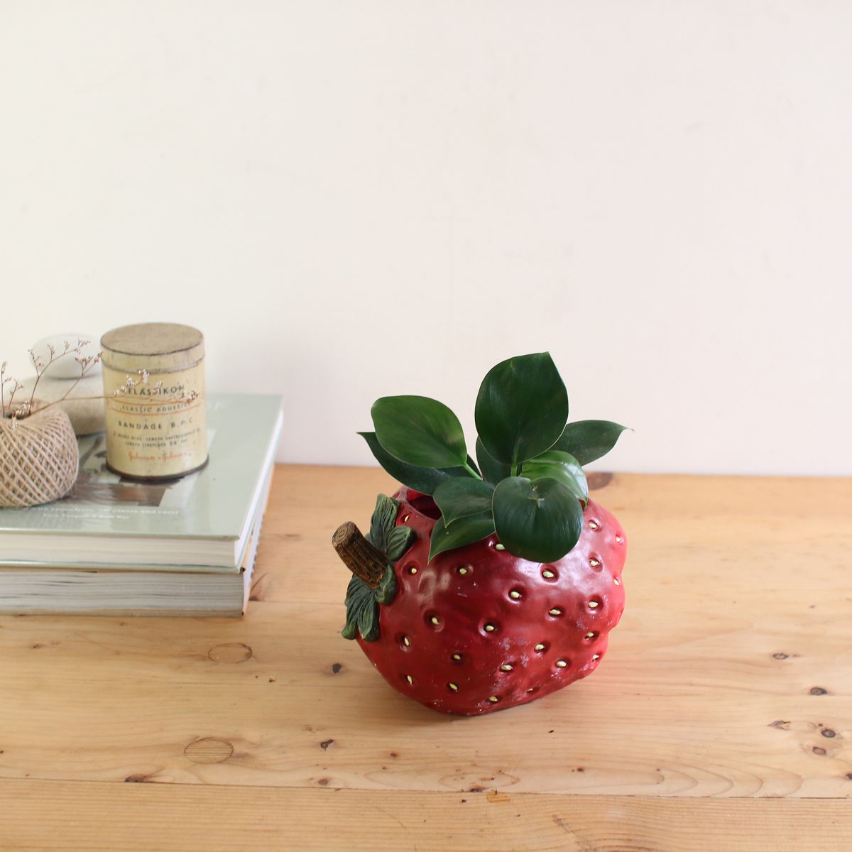 SOW/ストロベリーポット Mサイズ/BRGD1001M