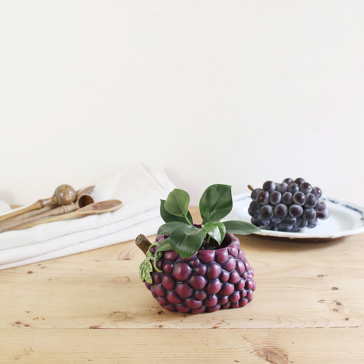 SOW/グレープポット Mサイズ/BRGD1002M