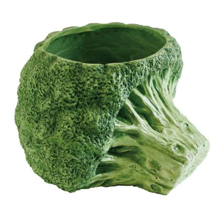 SOW/ブロッコリーポット Lサイズ/BRGD1003L