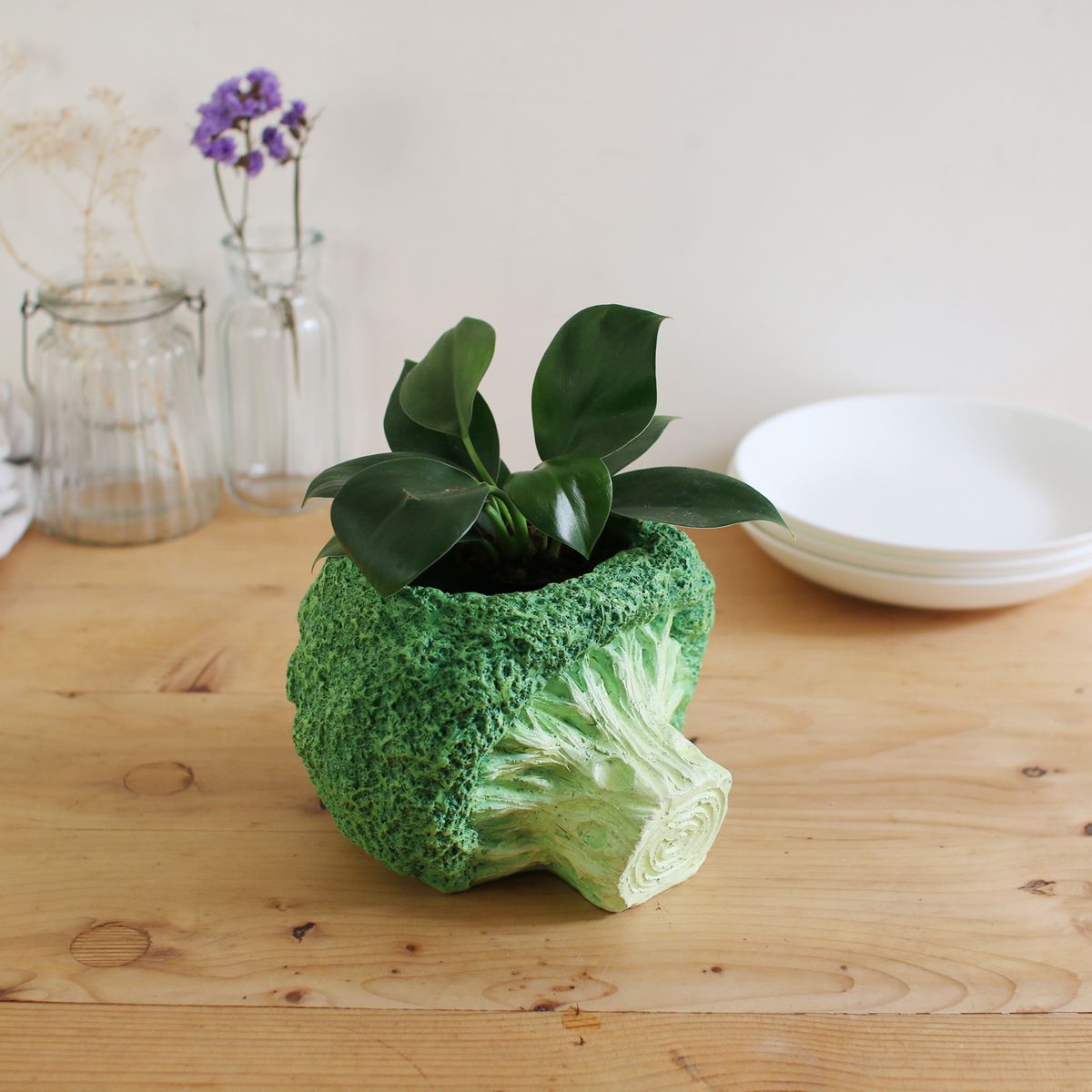 SOW/ブロッコリーポット Mサイズ/BRGD1003M