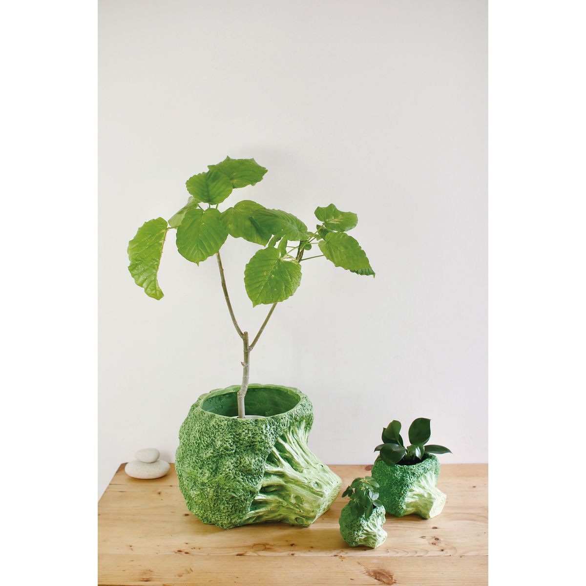 SOW/ブロッコリーポット Mサイズ/BRGD1003M