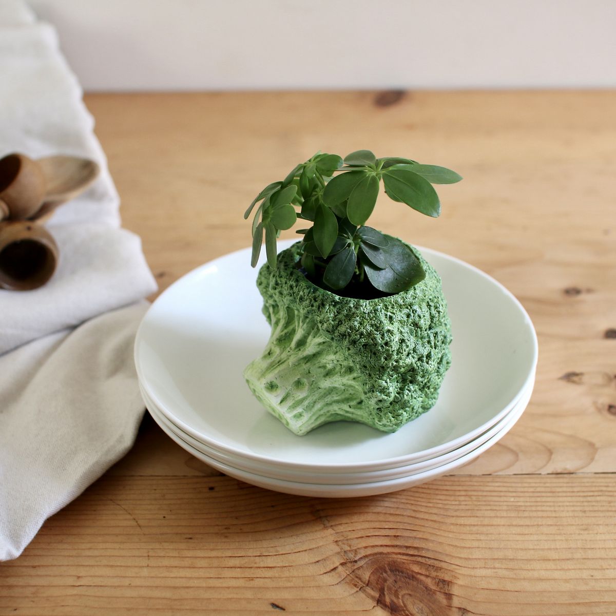 SOW/ブロッコリーポット Sサイズ/BRGD1003S