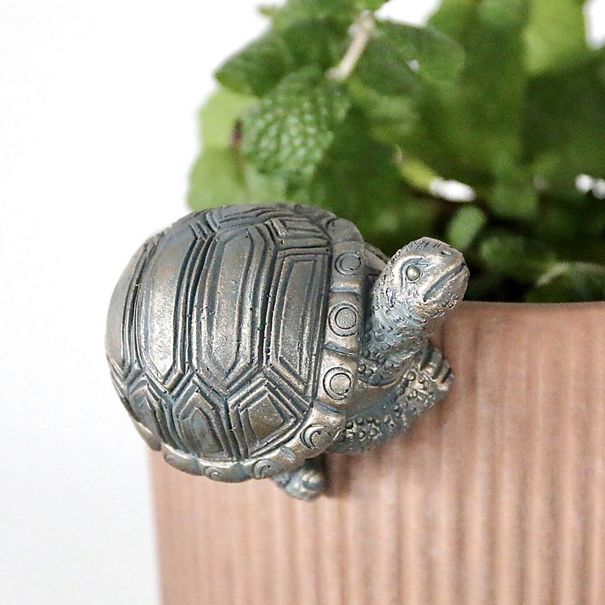 SOW/プランターハンギングオーナメント カメB/AMPD1008