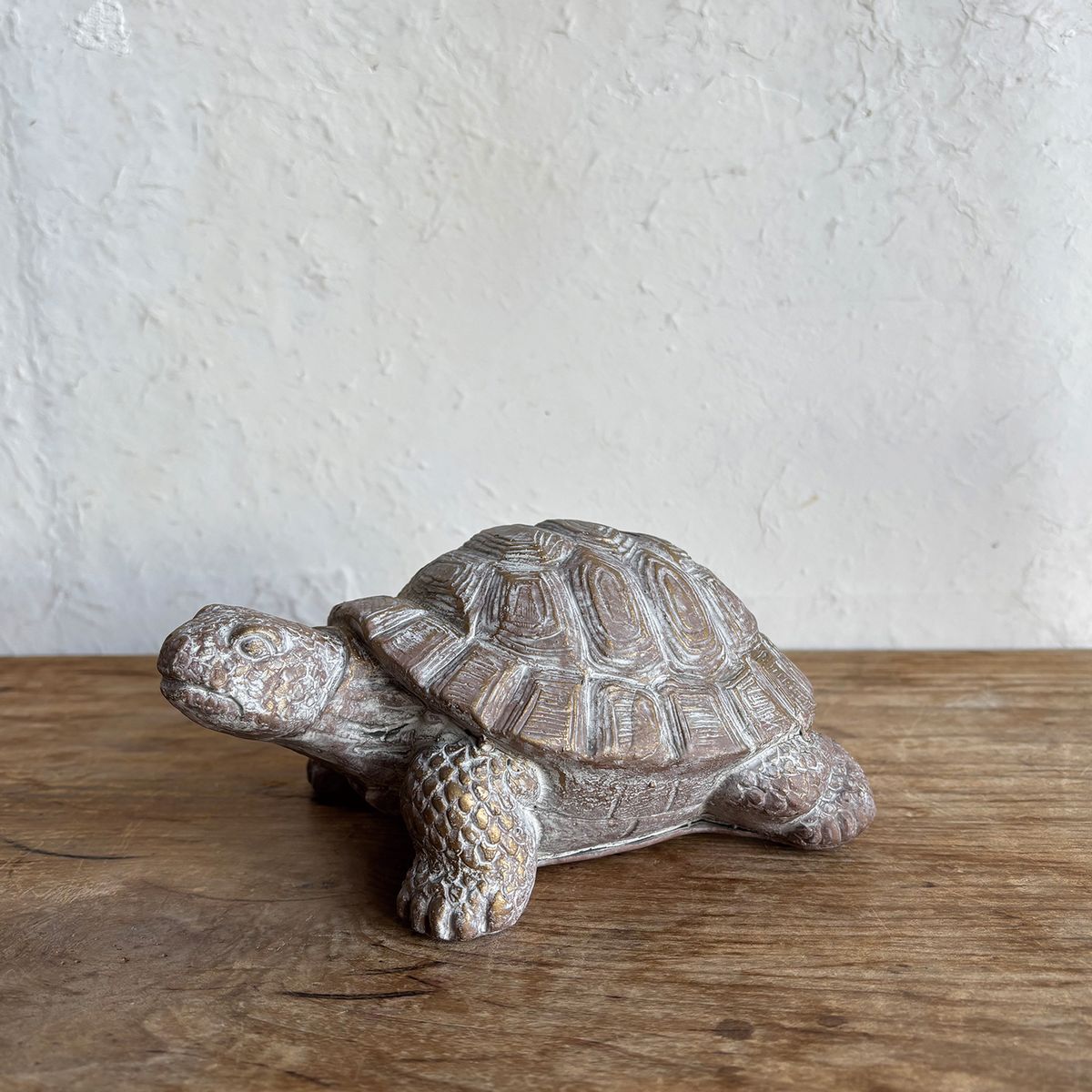 SOW/デコールセメントオブジェ カメA/TKTT1005A