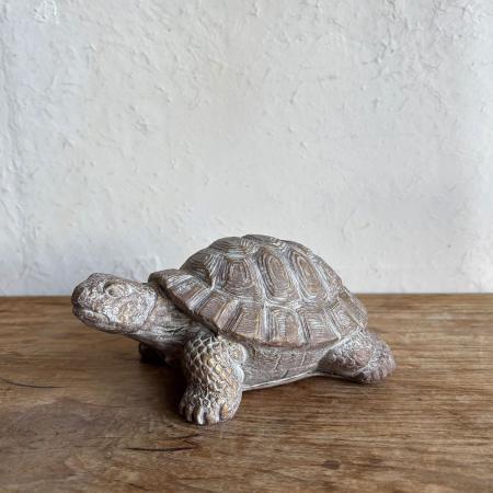 SOW/デコールセメントオブジェ カメA/TKTT1005A