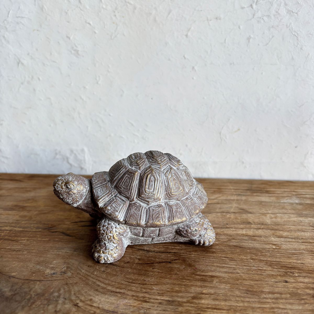 SOW/デコールセメントオブジェ カメB/TKTT1005B