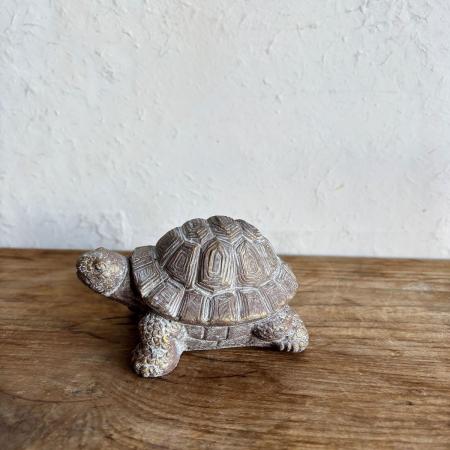 SOW/デコールセメントオブジェ カメB/TKTT1005B