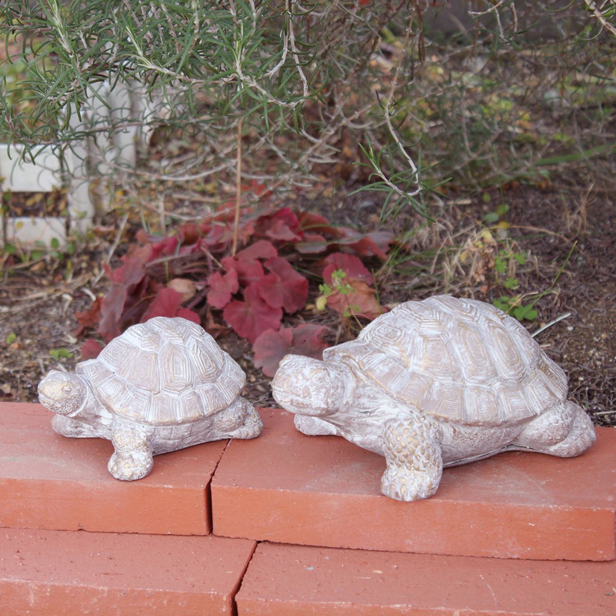 SOW/デコールセメントオブジェ カメB/TKTT1005B