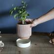 SOW/テラコッタプランター ソーサー付 Mサイズ/TERA200M