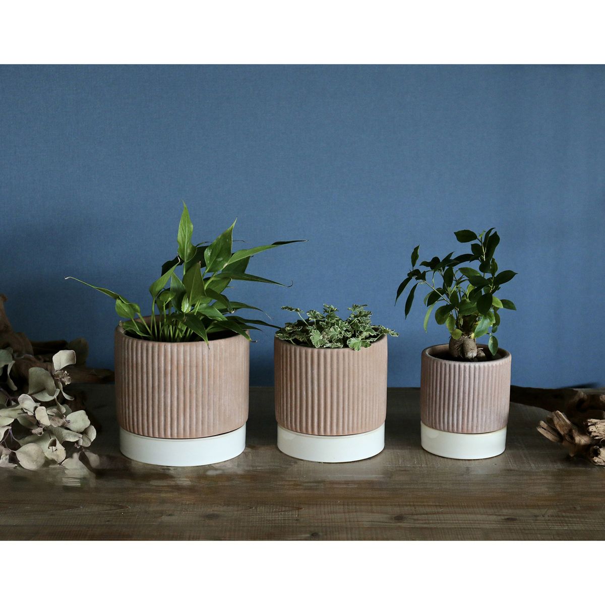 SOW/テラコッタプランター ソーサー付 Mサイズ/TERA200M