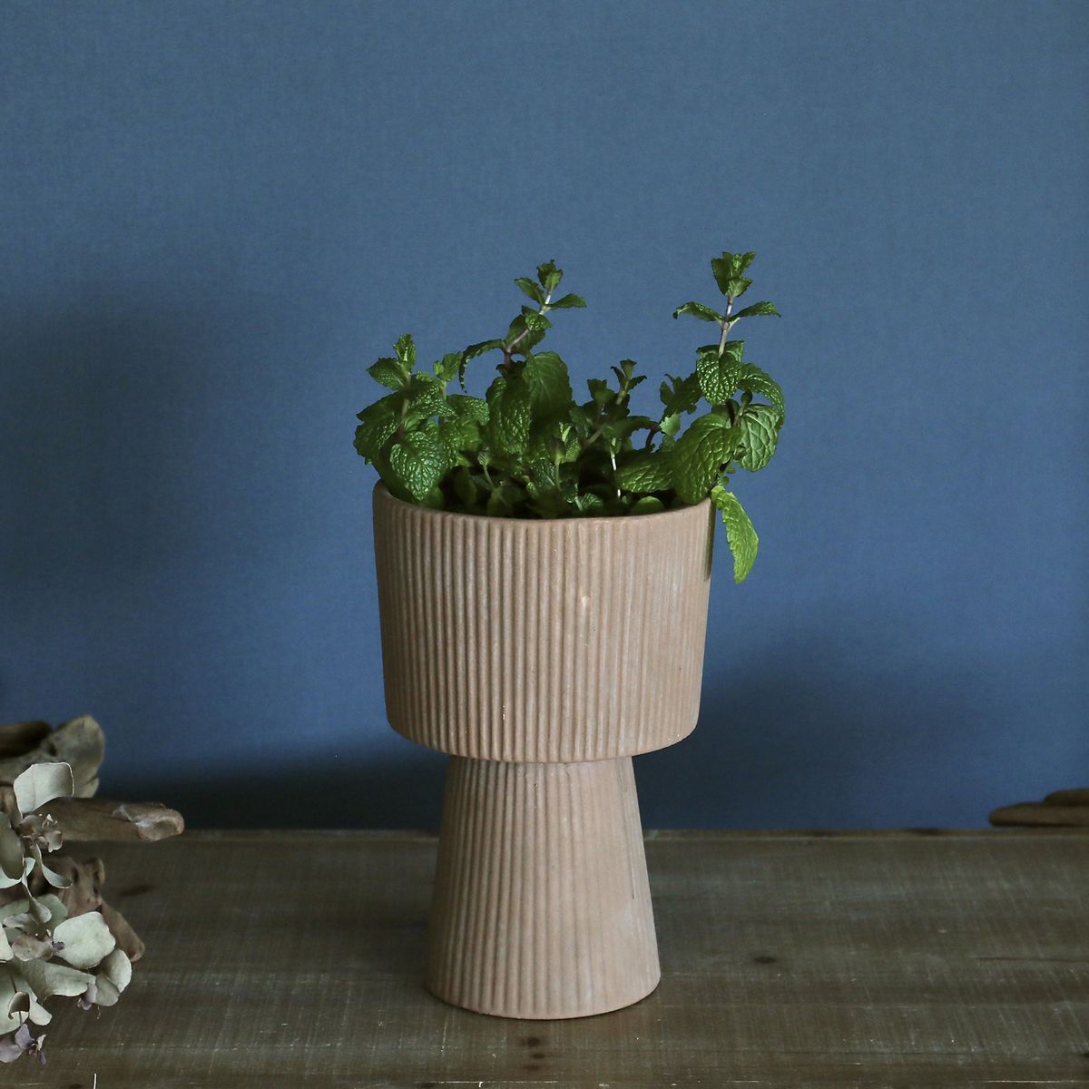 SOW/テラコッタプランター 脚付き ラウンドロウ Mサイズ/TERA400M