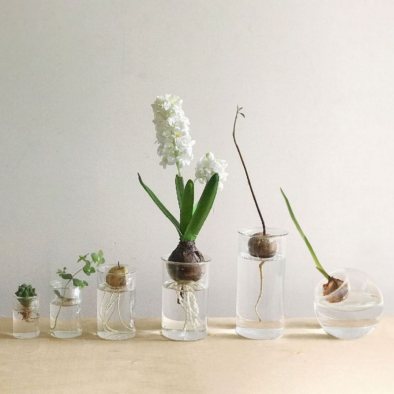 SOW/MINI BULB VASE 水栽培ガラスベース クリア 7cm/KEGY4051SW