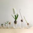 SOW/MINI BULB VASE 水栽培ガラスベース クリア 7cm/KEGY4051SW