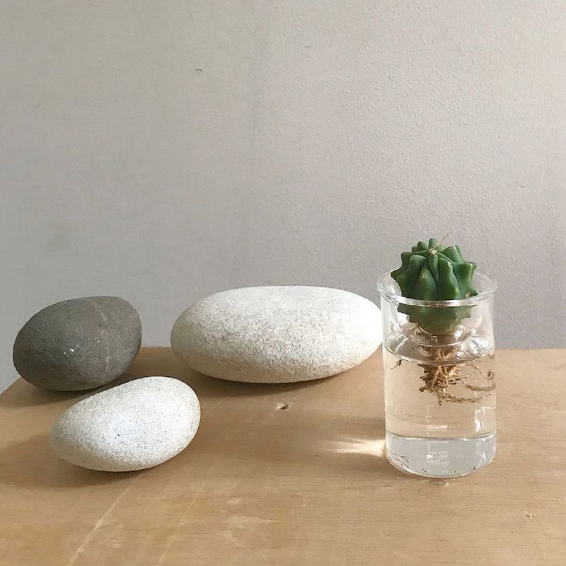 SOW/MINI BULB VASE 水栽培ガラスベース クリア 7cm/KEGY4051SW