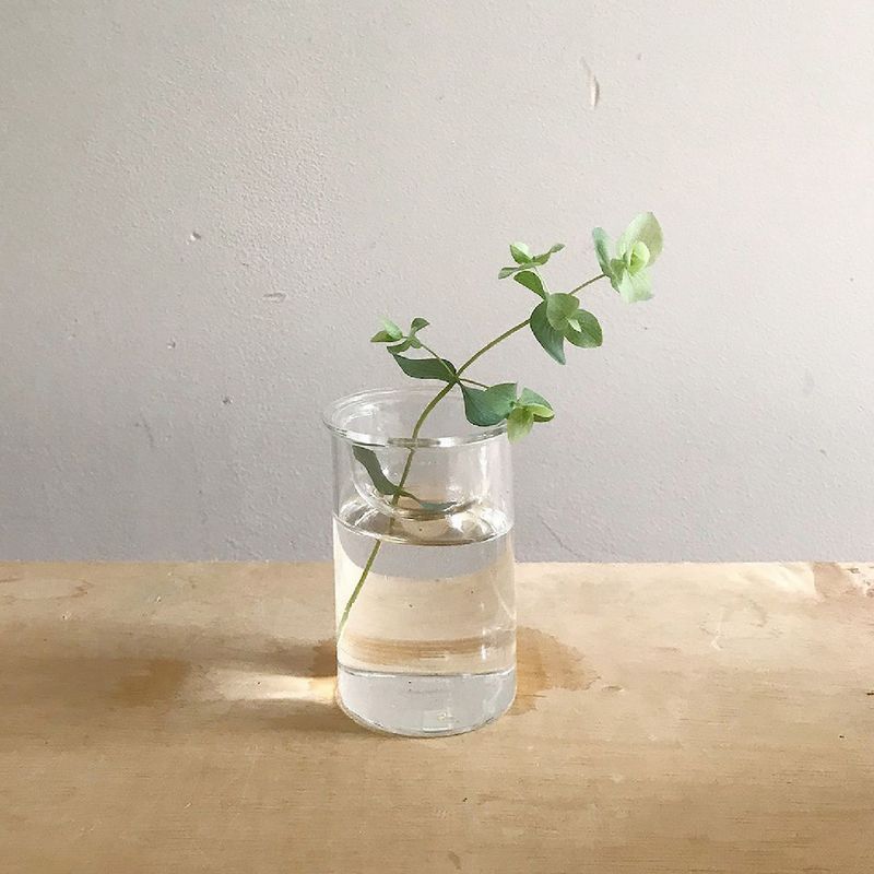 SOW/MINI BULB VASE 水栽培ガラスベース クリア 8.5cm/KEGY4052SW