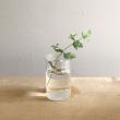 SOW/MINI BULB VASE 水栽培ガラスベース クリア 8.5cm/KEGY4052SW