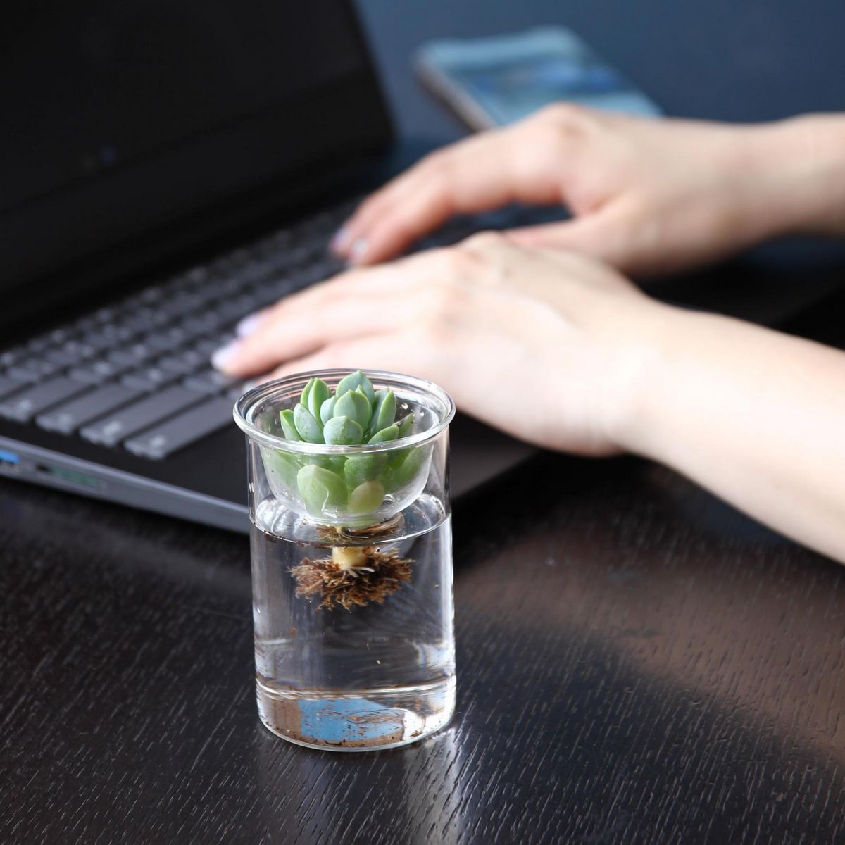 SOW/MINI BULB VASE 水栽培ガラスベース クリア 8.5cm/KEGY4052SW