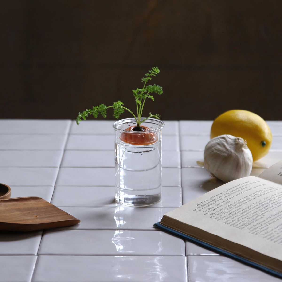 SOW/MINI BULB VASE 水栽培ガラスベース クリア 8.5cm/KEGY4052SW