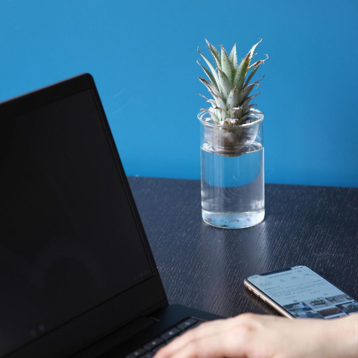 SOW/MINI BULB VASE 水栽培ガラスベース クリア 11cm/KEGY4053SW