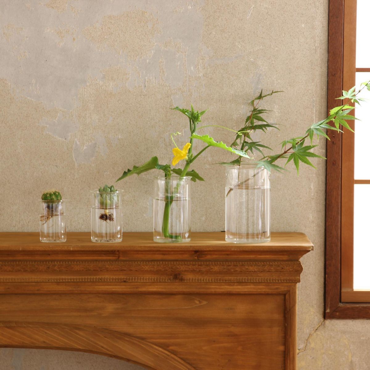 SOW/BULB VASE 水栽培ガラスベース クリア ショート/KEGY4060SW