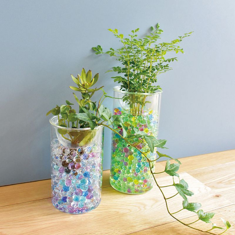 SOW/BULB VASE 水栽培ガラスベース クリア ロング/KEGY4070SW