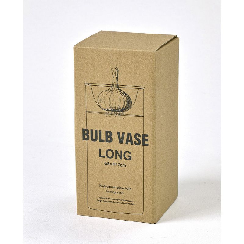 SOW/BULB VASE 水栽培ガラスベース クリア ロング/KEGY4070SW