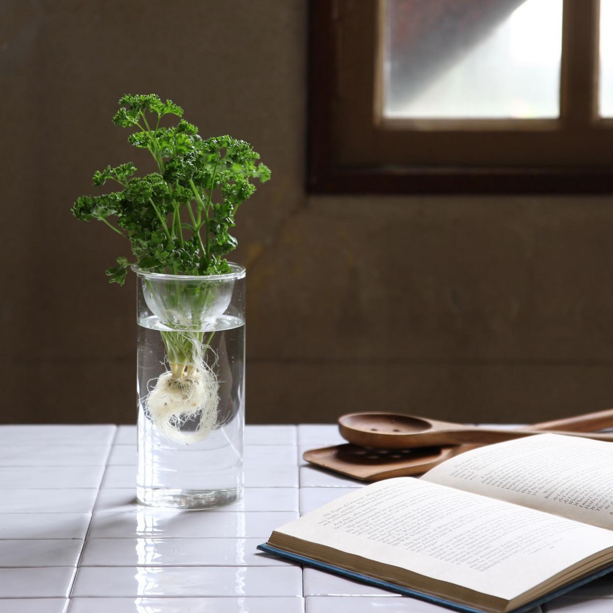 SOW/BULB VASE 水栽培ガラスベース クリア ロング/KEGY4070SW