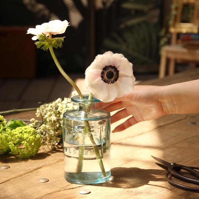 SOW/VALENCIA リサイクルガラスフラワーベース SIETE クリア/VGGN1070SW