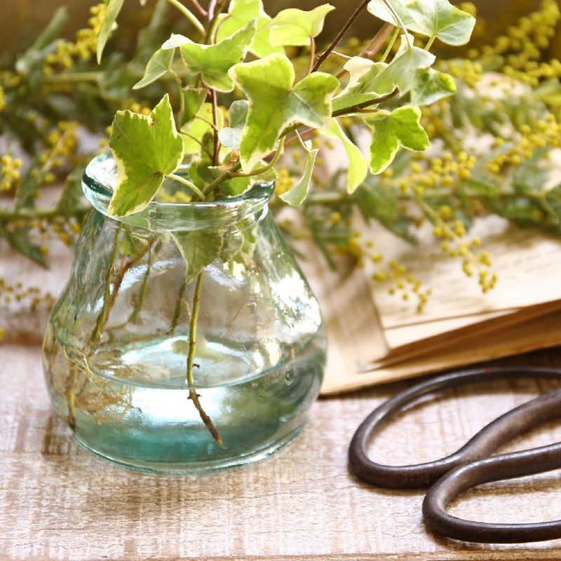 SOW/VALENCIA リサイクルガラス ミニフラワーベース CERO クリア/VGGN2100SW