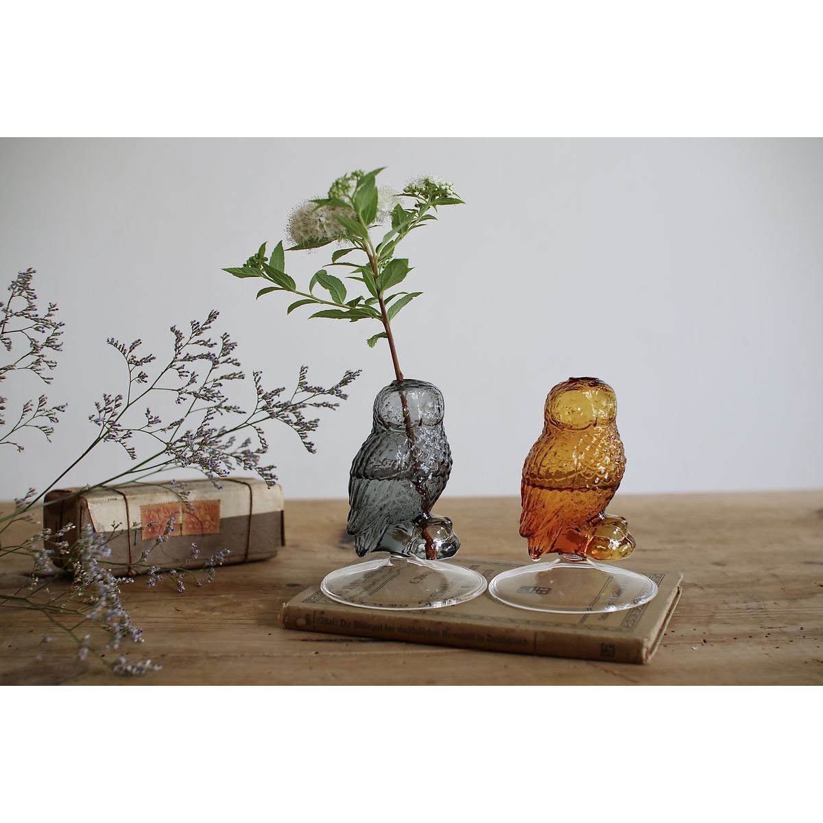 SOW/ガラス フクロウベース ブラウン/KEGY9000BR