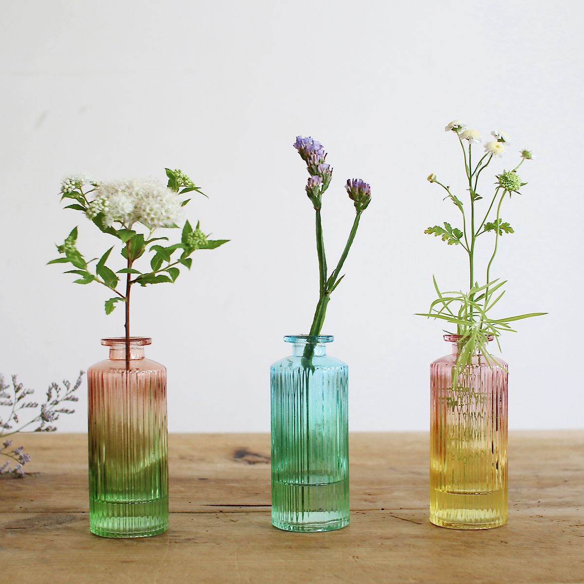 SOW/プチフラワーベース ストライプ ブルーグラデーション/NALT3322BLG