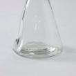 SOW/タイニーガラスフラワーベース No.01 クリア/NALG5010CLSW