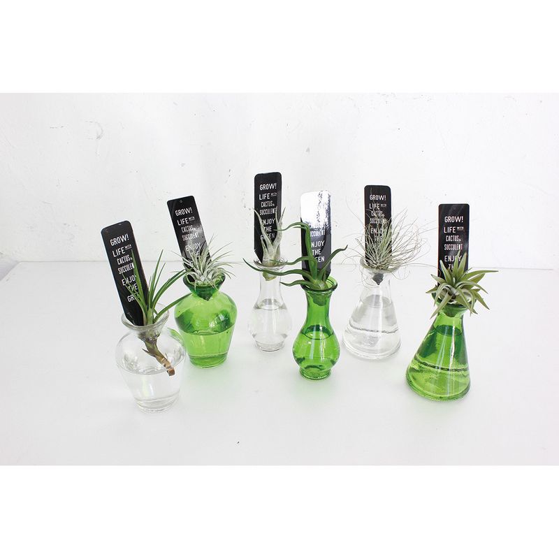 SOW/タイニーガラスフラワーベース No.01 グリーン/NALG5010GRSW