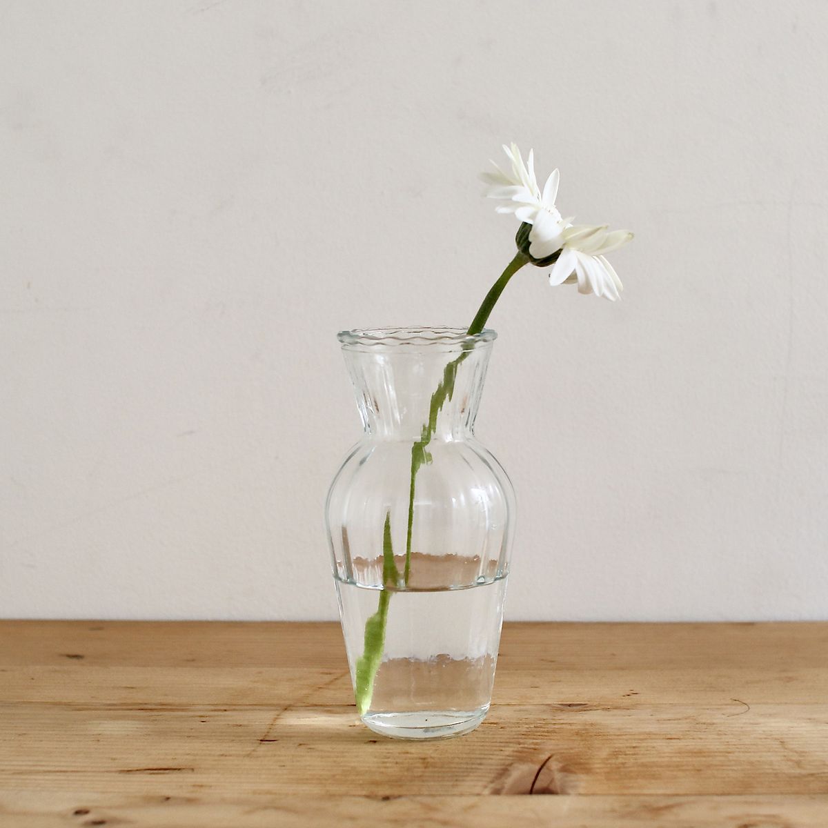 SOW/プチフラワーベース トールフラワー/SXGY2004