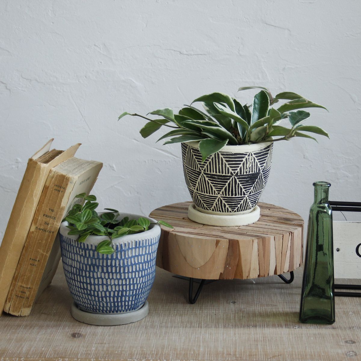 SOW/レリーフ プランター ドットライン ブルー/CCGH1820BLSW