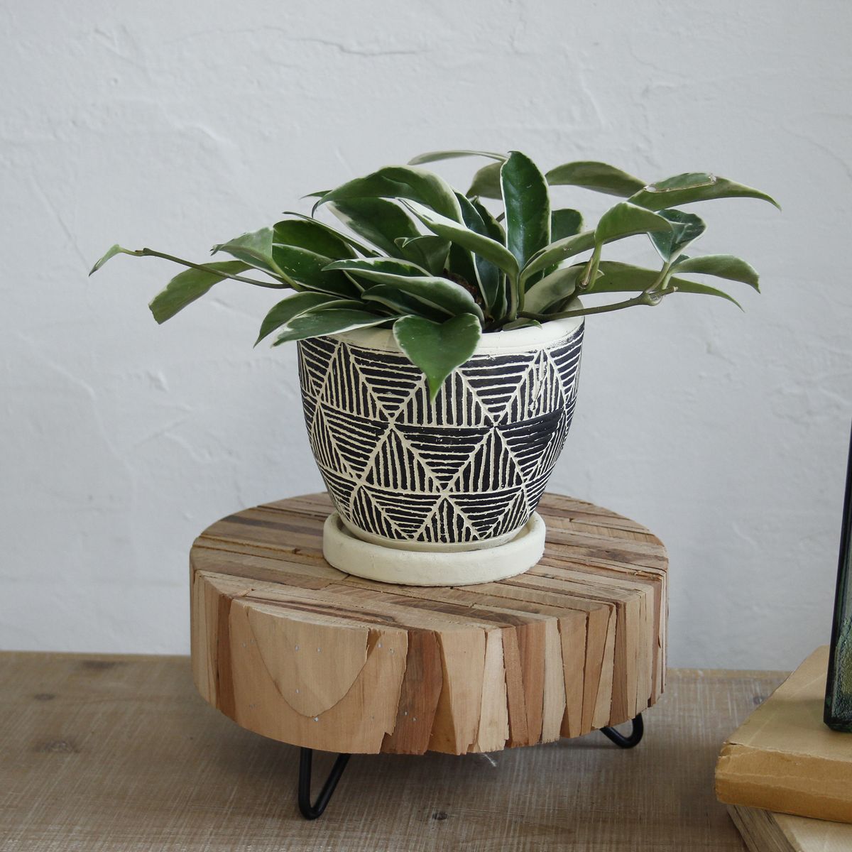 SOW/レリーフ プランター トライアングル ブラック/CCGH1830BKSW