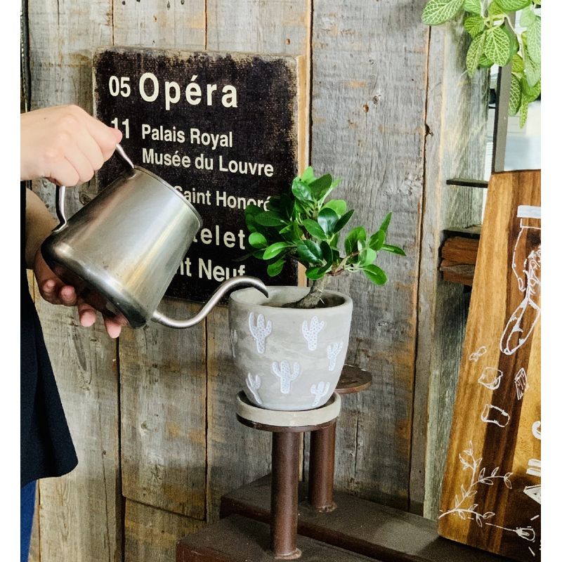 SOW/レリーフ プランター サボテン Lサイズ/CCGH1863SW