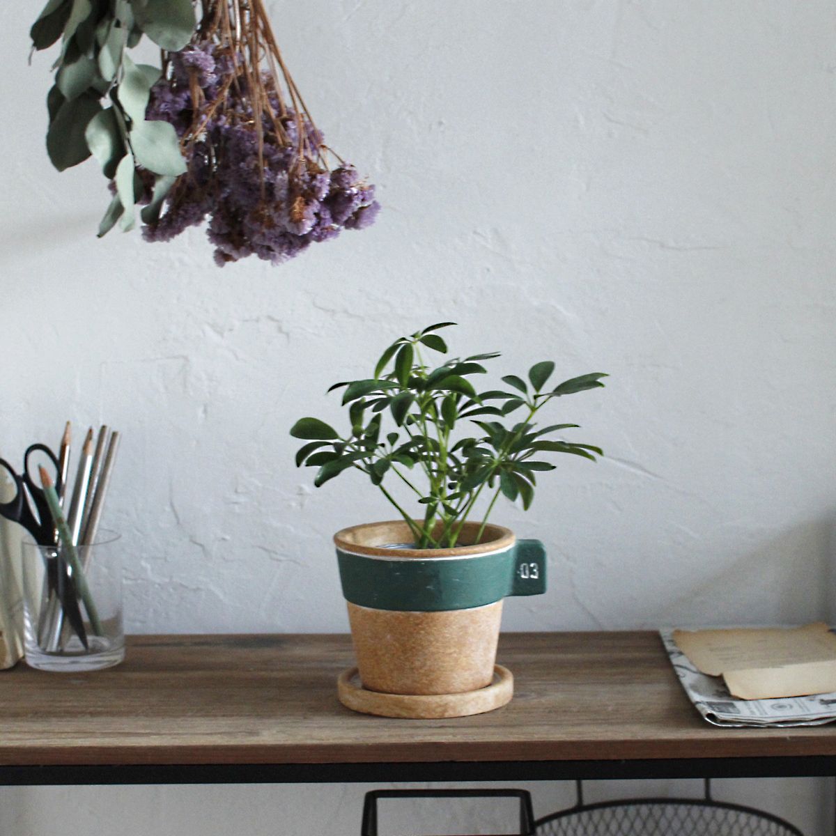 SOW/ラテプランター グリーン Sサイズ/GBGY1011GRSW